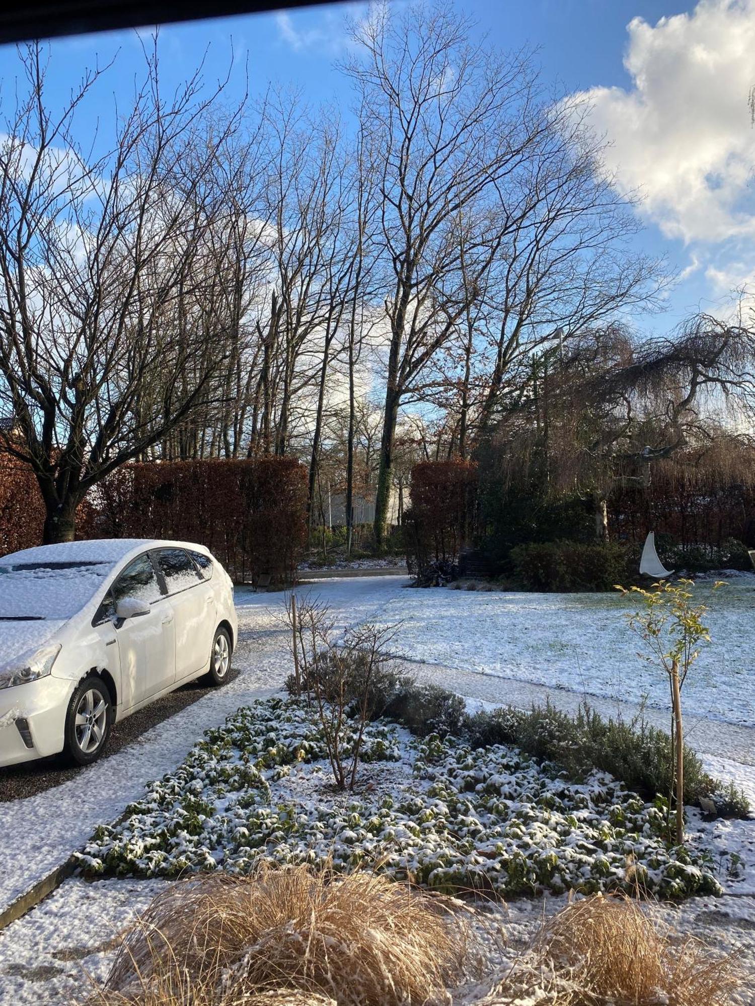 De Graslelie Apartment Schoten Bagian luar foto